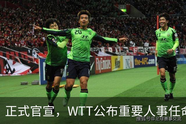 正式官宣，WTT公布重要人事任命，中国乒乓美女被提拔，正式上岗担任总监职务
