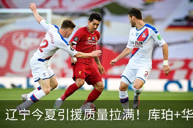 辽宁今夏引援质量拉满！库珀+华子场均42分，克里斯也能稳内线！
